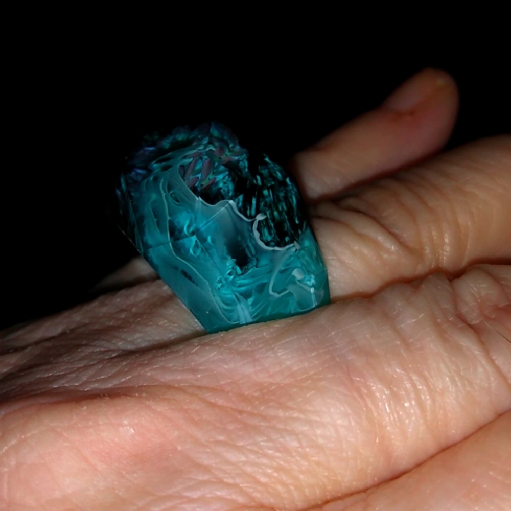 Petrified Wood in Acrylic Ring
